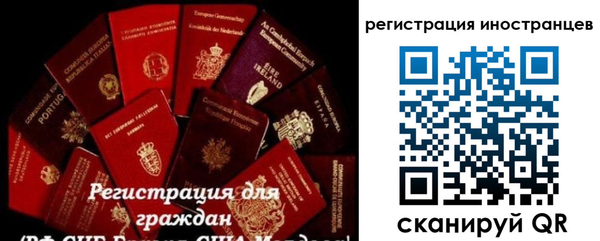прописка иностранных граждан в Брянской области